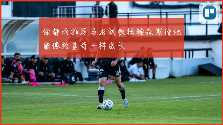 徐静雨推荐马龙执教杨瀚森期待他能像约基奇一样成长